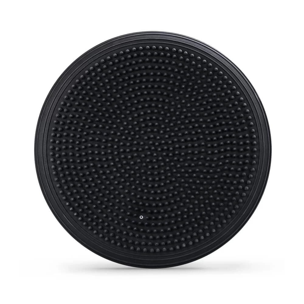 PTP Stability Disc - Image 4