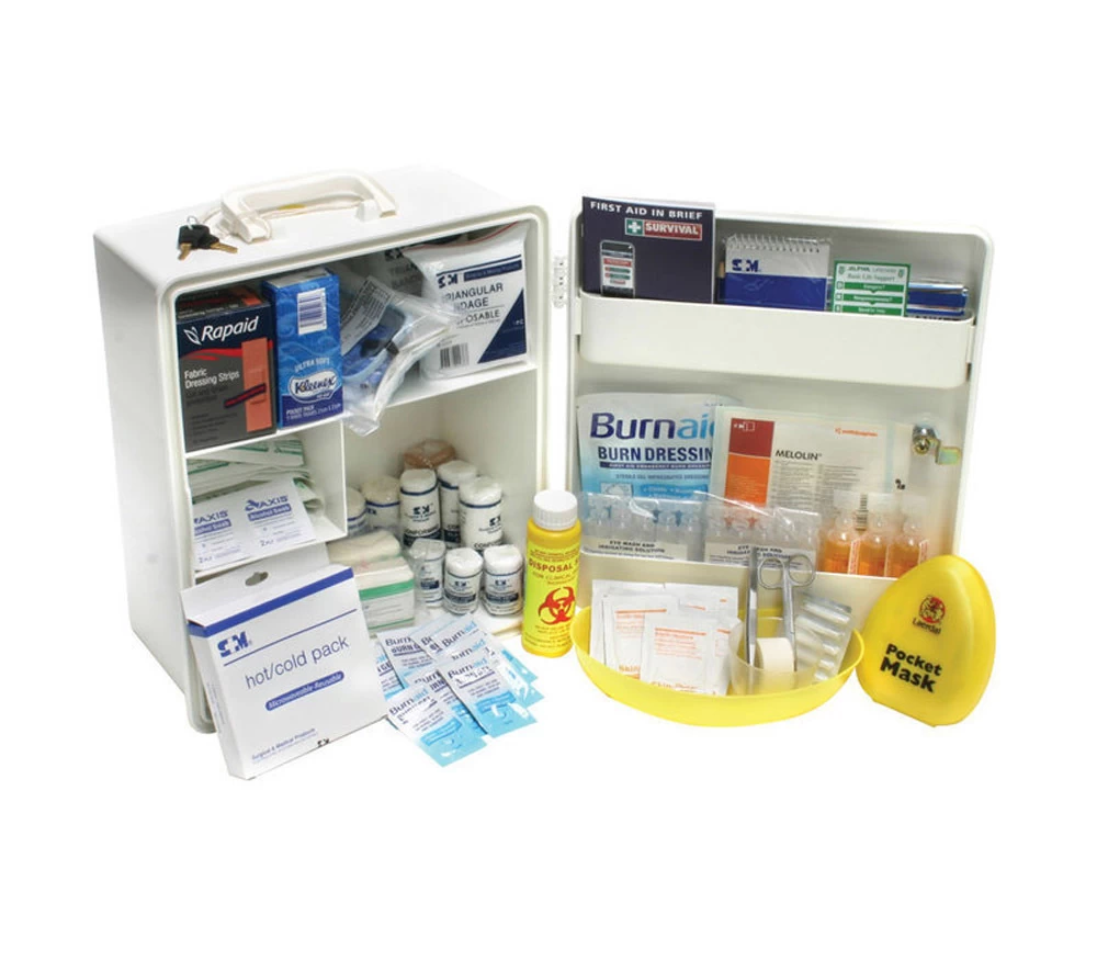 Industrial Workplace Kit In A Wall Mounted Plastic Cabinet